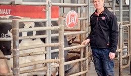 Making the most of a robotic dairy system